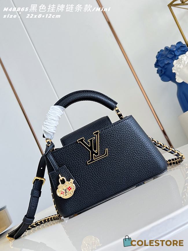 Colestore Louis Vuitton Capucines Lunar New Year East-West Mini Black 22 x 12 x 8 cm - 1