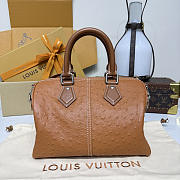 Colestore Louis Vuitton Speedy P9 Bandoulière 25 in Exotic Ostrich 25x15x15cm - 6