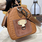 Colestore Louis Vuitton Speedy P9 Bandoulière 25 in Exotic Ostrich 25x15x15cm - 4