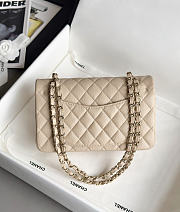Colestore Chanel Classic Mini Flap Bag In Beige Caviar With Light Gold-Tone Hardware 20cm - 2