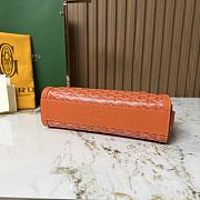 Colestore Goyard Bonbonnière bag Orange 30×10.5×12cm - 5