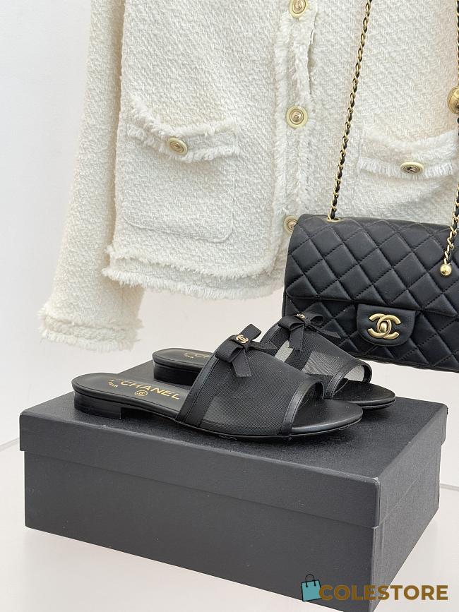Colestore Chanel Mules Mesh Black - 1