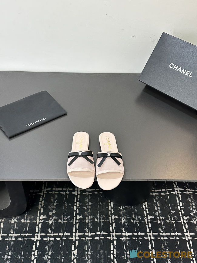 Colestore Chanel Mules Mesh Light Pink & Black - 1