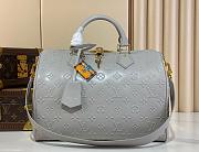 Colestore Louis Vuitton Speedy Soft 30 Cloud Gray M25670   30 x 21 x 17 cm - 1