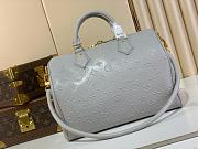 Colestore Louis Vuitton Speedy Soft 30 Cloud Gray M25670   30 x 21 x 17 cm - 2