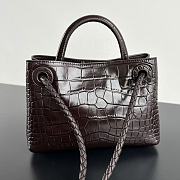 Colestore Bottega Veneta Andiamo Mini Top Handle Bag In Crocodile-Embossed Leather Dark Brown 22x9x15.5cm - 3