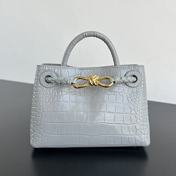 	 Colestore Bottega Veneta Andiamo Mini Top Handle Bag In Crocodile-Embossed Leather Gray 22x9x15.5cm