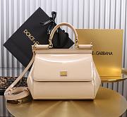 Colestore Dolce & Gabbana Medium Sicily Handbag Blush in Polished Calfskin 20x16x8cm - 1