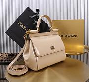 Colestore Dolce & Gabbana Medium Sicily Handbag Blush in Polished Calfskin 20x16x8cm - 2