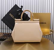 Colestore Dolce & Gabbana Medium Sicily Handbag Blush in Polished Calfskin 20x16x8cm - 4