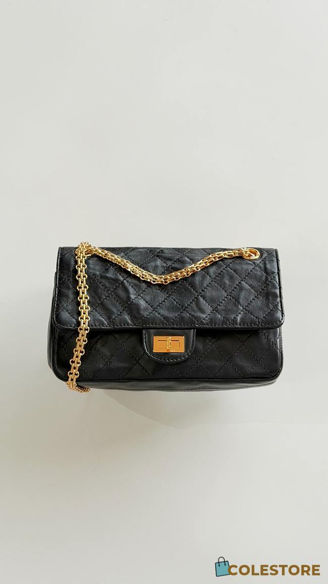Colestore Chanel Handbag 2.55   Sheepskin & Gold-plated metal  Black 16x24x7.5cm - 1