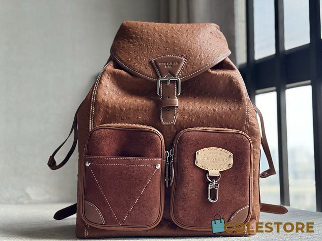 Colestore Louis Vuitton Montsouris Cargo Backpack Brown Ostrich 40 x 17 x 34cm - 1
