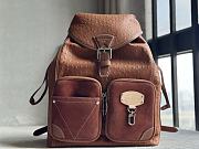 Colestore Louis Vuitton Montsouris Cargo Backpack Brown Ostrich 40 x 17 x 34cm - 1