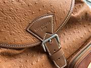 Colestore Louis Vuitton Montsouris Cargo Backpack Brown Ostrich 40 x 17 x 34cm - 2