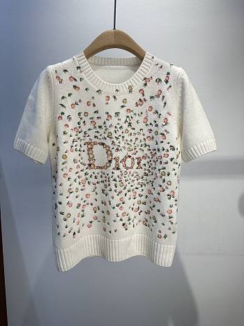 Colestore  Dior Short-Sleeved Embroidered Sweater Multicolor Daisy Garden Cashmere Knit