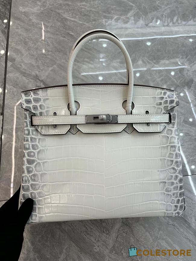 Colestore Hermès Birkin Himalaya Crocodile Pattern Bag In White size 30cm - 1
