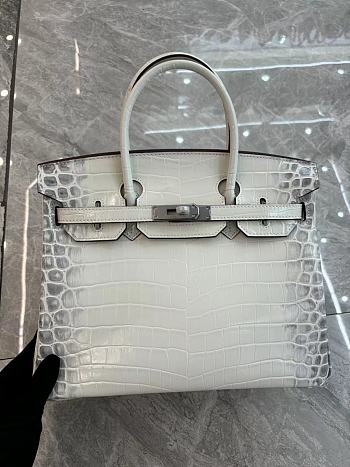 Colestore Hermès Birkin Himalaya Crocodile Pattern Bag In White size 30cm