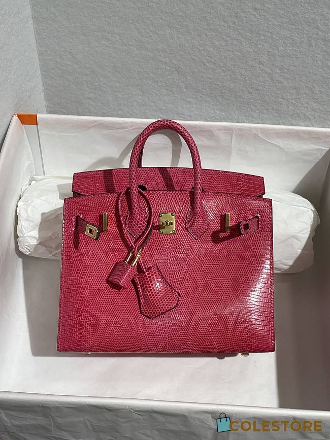 Colestore Hermès Birkin 25 Fuchsia Varanus Niloticus Lizard Gold Hardware - 1