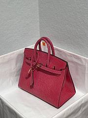Colestore Hermès Birkin 25 Fuchsia Varanus Niloticus Lizard Gold Hardware - 4