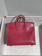 Colestore Hermès Birkin 25 Fuchsia Varanus Niloticus Lizard Gold Hardware - 3