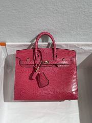 Colestore Hermès Birkin 25 Fuchsia Varanus Niloticus Lizard Gold Hardware - 5