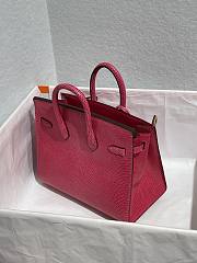 Colestore Hermès Birkin 25 Fuchsia Varanus Niloticus Lizard Gold Hardware - 6