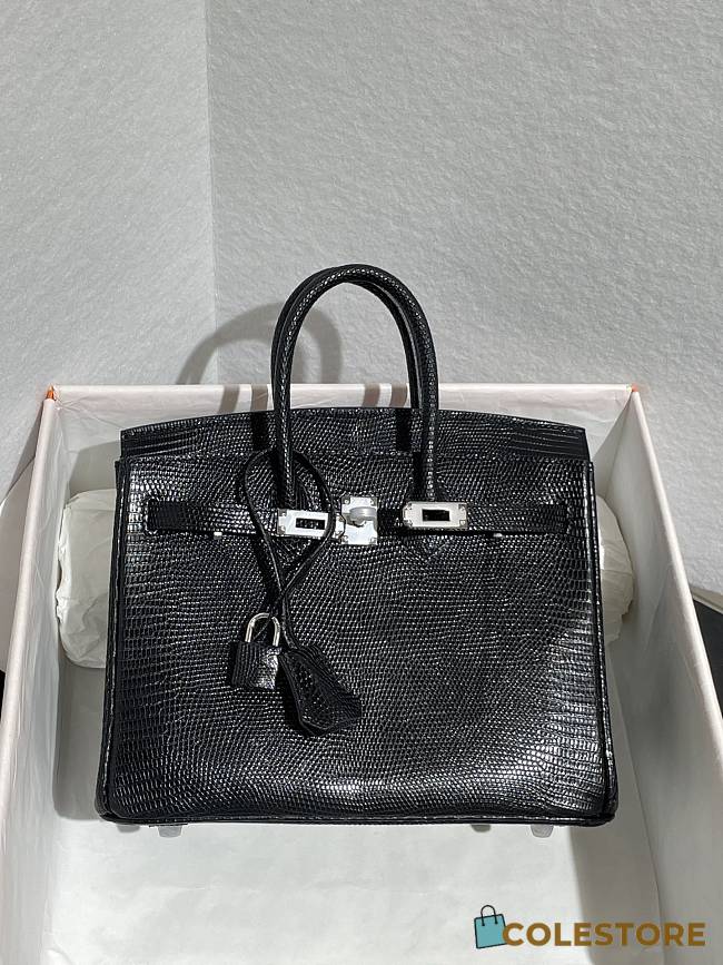 	 Colestore Hermès Birkin 25 Black Lizard Silver Hardware - 1