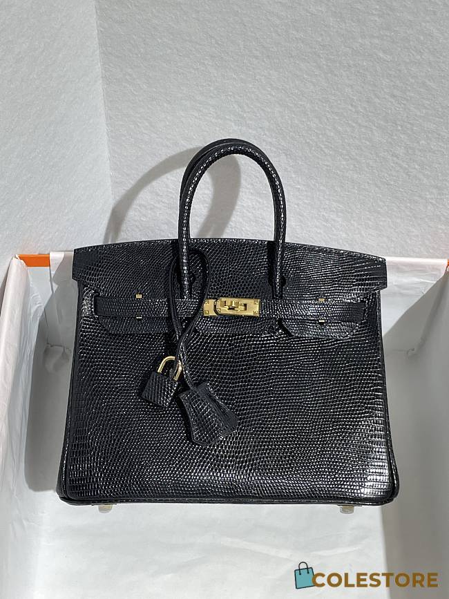 	 Colestore Hermès Birkin 25 Black Lizard Gold Hardware - 1