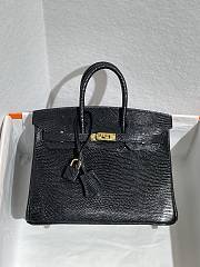 	 Colestore Hermès Birkin 25 Black Lizard Gold Hardware - 1