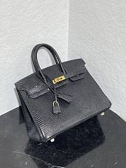 	 Colestore Hermès Birkin 25 Black Lizard Gold Hardware - 4