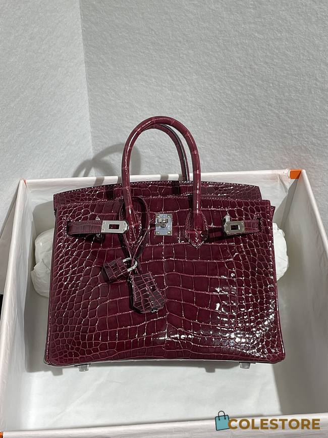 	 Colestore Hermès Birkin 25 Bordeaux Shiny Croco Silver Hardware  - 1