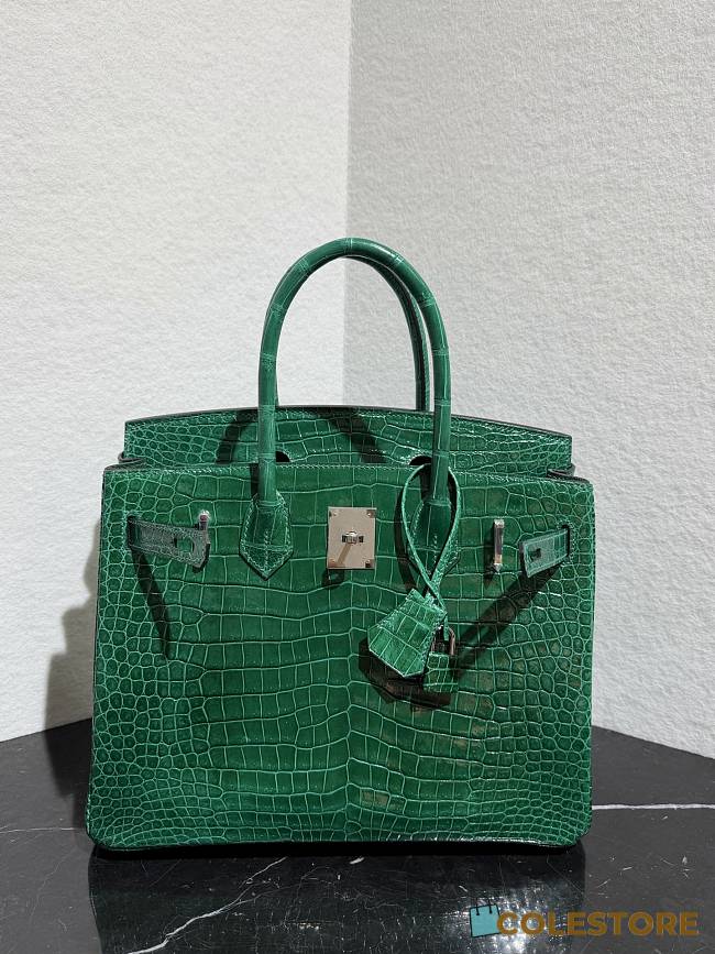 	 Colestore Hermès Birkin 25 Emerald Shiny Niloticus Crocodil Silver Hardware  - 1