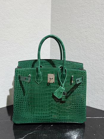 	 Colestore Hermès Birkin 25 Emerald Shiny Niloticus Crocodil Silver Hardware 