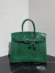 	 Colestore Hermès Birkin 25 Emerald Shiny Niloticus Crocodil Silver Hardware  - 3