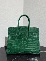	 Colestore Hermès Birkin 25 Emerald Shiny Niloticus Crocodil Silver Hardware  - 2
