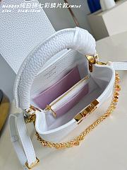 Colestore Louis Vuitton Confetti Collection Mini Capucines Taurillon Leather 21x14x8cm - 6