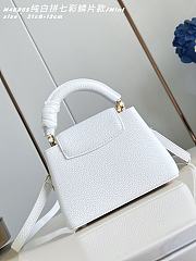 Colestore Louis Vuitton Confetti Collection Mini Capucines Taurillon Leather 21x14x8cm - 5