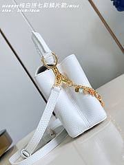 Colestore Louis Vuitton Confetti Collection Mini Capucines Taurillon Leather 21x14x8cm - 2