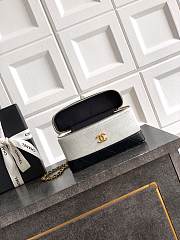 Colestore Chanel Vanity with Chain   Suede Calfskin, Shiny Lambskin & Gold-Tone Metal  Grey & Black  17 x 19.5 x 5cm - 6