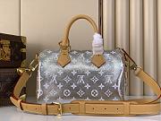 Colestore Louis Vuitton Speedy P9 Bandoulière 25 Silver 25 x 15 x 15 cm - 6