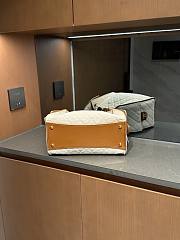 Colestore Chanel 25 Small Handbag   Canvas, Calfskin & Gold-Tone Metal  Ecru & Camel  30 x 26 x 14cm - 5