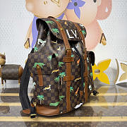 Colestore Louis Vuitton Christopher MM x The Darjeeling Limited Damier Other Brown 38 x 44 x 12.5 cm - 2