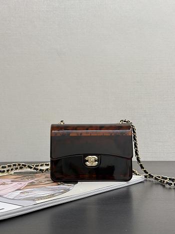 Colestore Chanel Mini Evening Bag Plexi Gold-Tone Metal Brown & Black 12x9x4.5cm