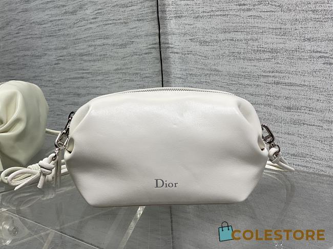 Colestore Dior Bow Pouch Latte Supple Lambskin 20x11x8cm - 1