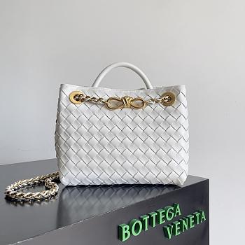 Colestore Bottega Veneta Small Andiamo Chain White 20x25x10cm