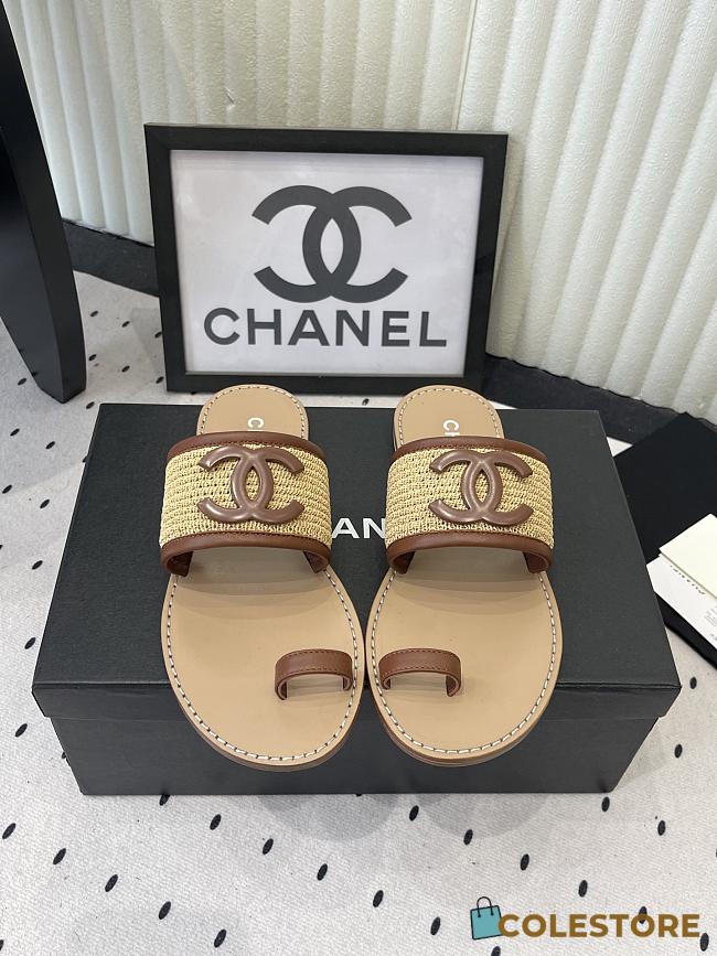 Colestore Chanel Mules   Raffia & Lambskin  Beige & Brown - 1