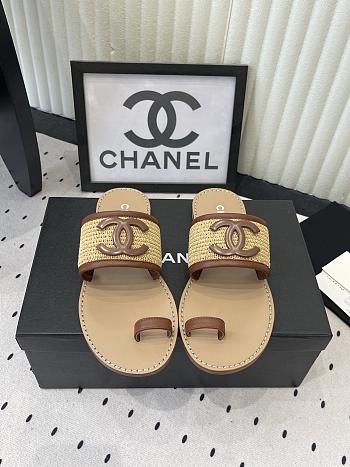Colestore Chanel Mules   Raffia & Lambskin  Beige & Brown