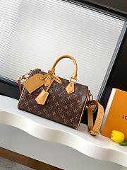 	 Colestore Louis Vuitton Speedy P9 Bandoulière 25 in Ostrich Brown 25x15x15cm - 1