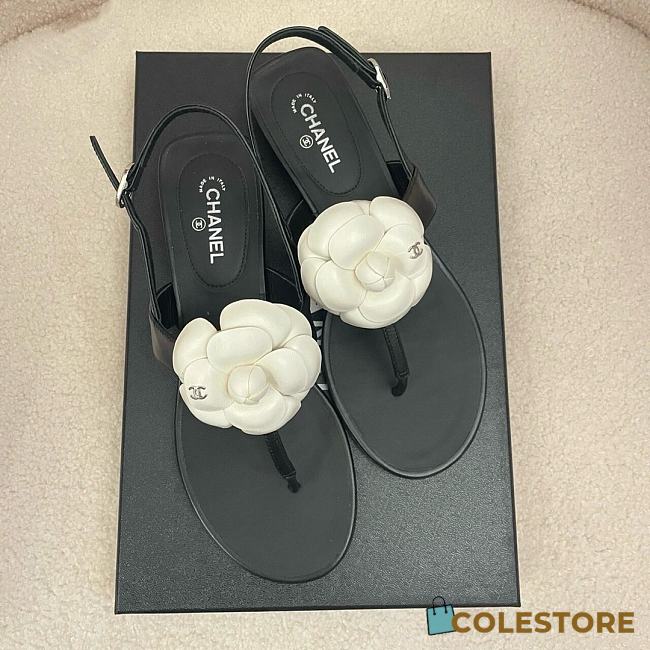 Colestore Chanel Camellia Sandals Glossy calfskin Black &  White - 1