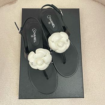 Colestore Chanel Camellia Sandals Glossy calfskin Black &  White